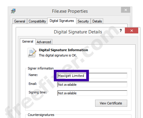 Screenshot of the Maxiget Limited certificate